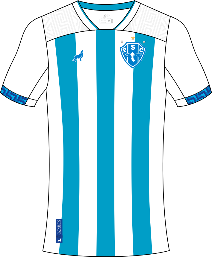 Imagem do Uniforme do Paysandu